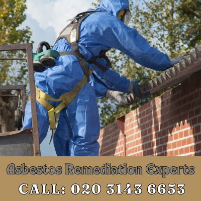 Asbestos Remediation Experts Tower Hill