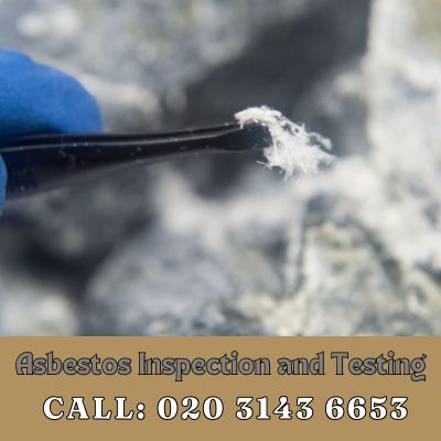 Comprehensive Asbestos Inspection and Testing Services in Tower Hill